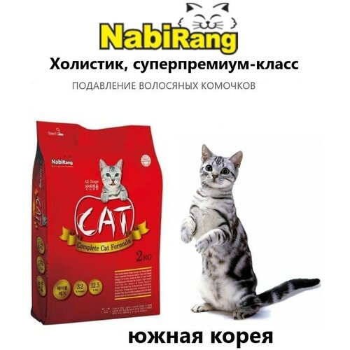    Nabirang Cat         2    -     , -,   