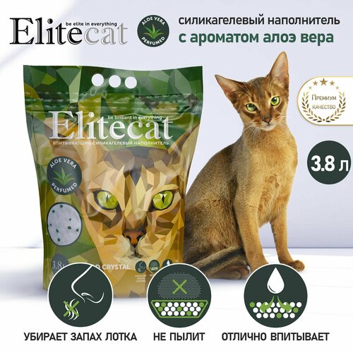       ELITECAT 