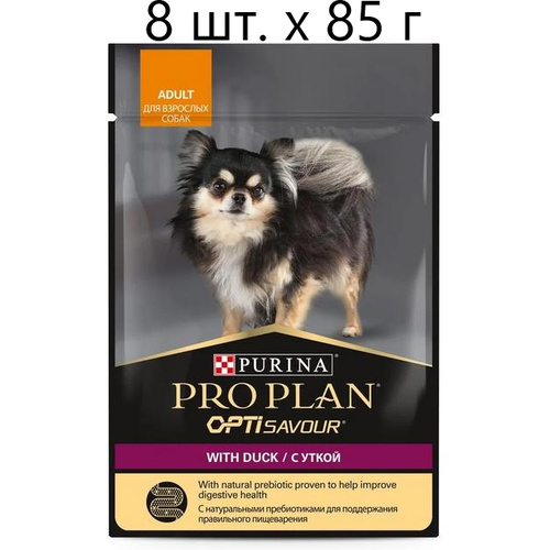      Purina Pro Plan OptiSavour adult with duck, , , 8 .  85  (    )   -     , -  