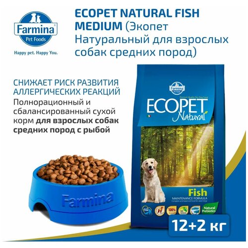           (Ecopet Natural Fish Medium), 14 .   -     , -,   