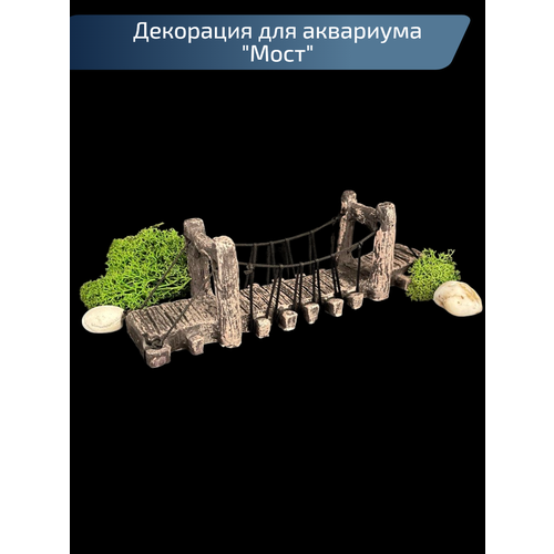 ���� ��������� ���� ��������� ��� ���������, ������ ������