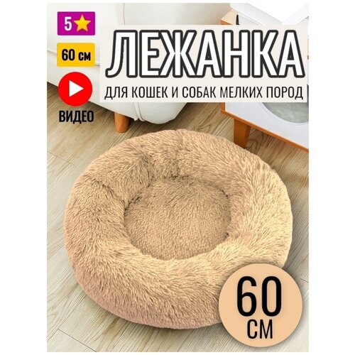 ���� ������� ������� ��� ����� � ����� 60 ��, ������ ������