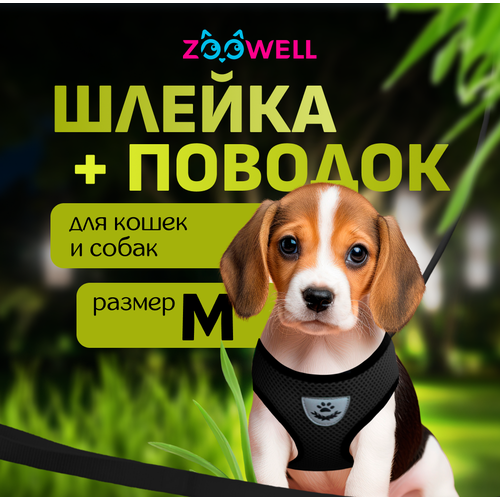         ZooWell, ,  M,    -     , -  