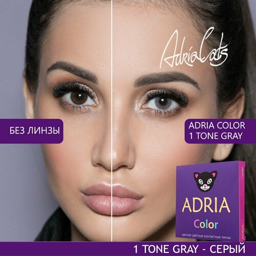    ADRIA Color 1 tone, 2 ., R 8,6, D -5, gray, 1 .   -     , -  