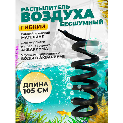 ���� ������ ����������� 105 �� ��� ���������, ������ ������