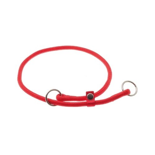 ���� �������� ���� ������� ZooOne (co ��������) � 2-� �������� ������� 6 ��, ����� �������� 55 ��, ������ ��� 55 ��, 1 ��., �������, ������ ������