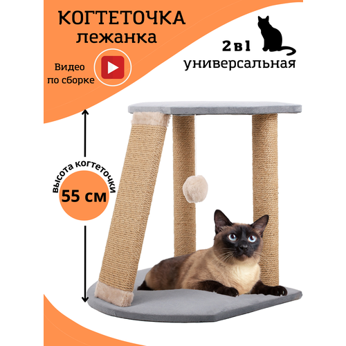 ���� ����������. ���������� �������. ���������� ������� � ��������. �������� ���������, �����, ������ ������