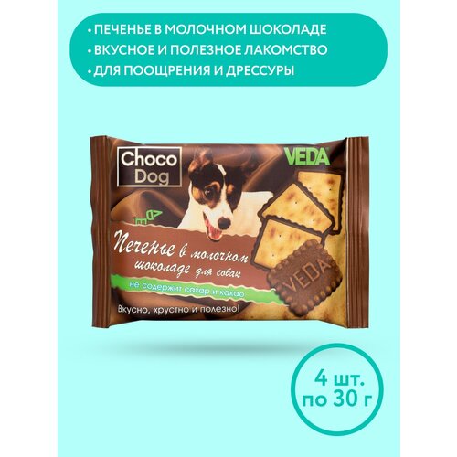  CHOCO DOG    ,   , 4 , VEDA   -     , -  