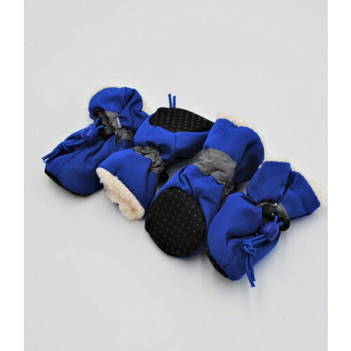 ���� ����� ��� ����� ����������, �����, �-�, 1, ������ ������