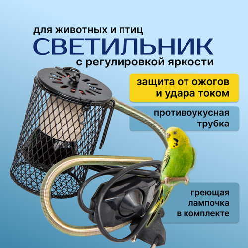 ���� ���������� � �������� �������� ��� ������ ����, ��������, �������� � ��������, �������� ������� ������������ � �������, ������ ������