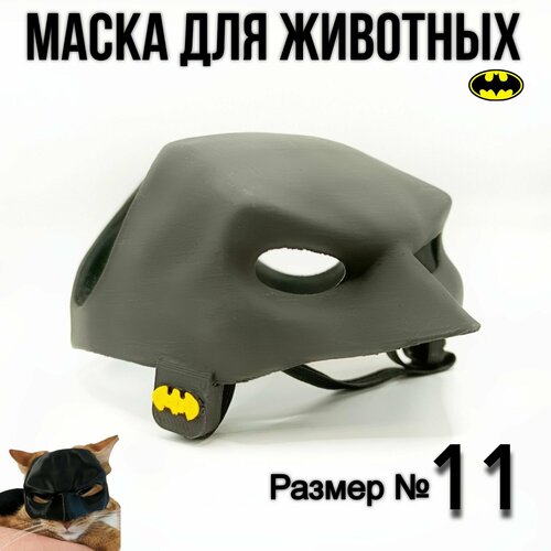 ���� ����� ��� ���� ������, ������ ������