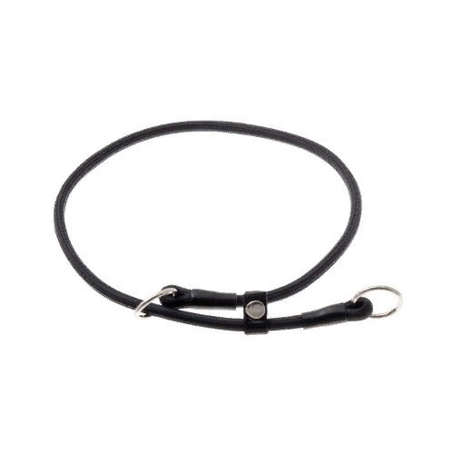 ���� �������� ���� ������� ZooOne (co ��������) � 2-� �������� ������� 6 ��, ����� �������� 55 ��, ������ ��� 55 ��, 1 ��., ������, ������ ������