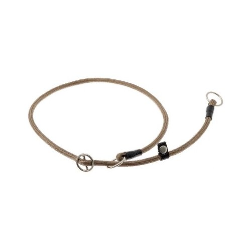 ���� �������� ���� ������� ZooOne (co ��������) � 2-� �������� ������� 6 ��, ����� �������� 70 ��, ������ ��� 70 ��, 1 ��., ���������, ������ ������