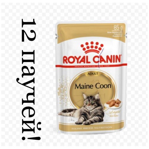    Royal Canin -,      , 12 .  85  (  )
