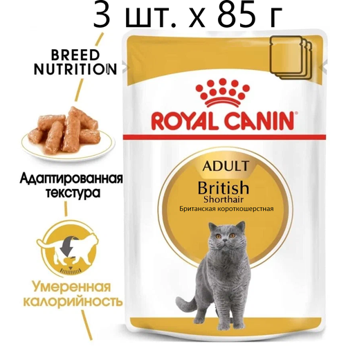      Royal Canin British Shorthair Adult,      , 3 .  85  (  )   -     , -  