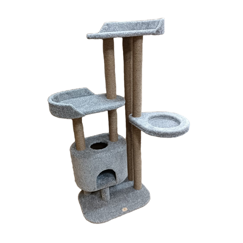 ���� ������� ��������-���������� ��� ���� 