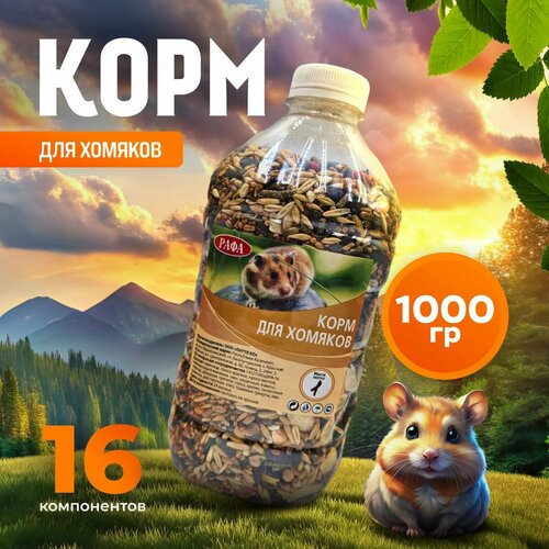 ���� ���� ��� ������� ���� ����� ����������� ���� 1 ��, ������ ������