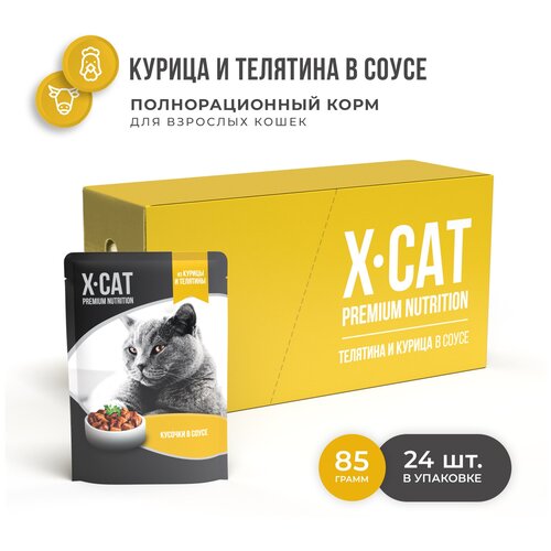  X-CAT          (85   24 )   -     , -  