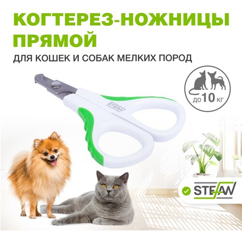 ���� ��������-������� STEFAN (������) ��� ������� ������ �������� (����� � �����), ������� ��� ��������, ������, �����, GXS019, ������ ������