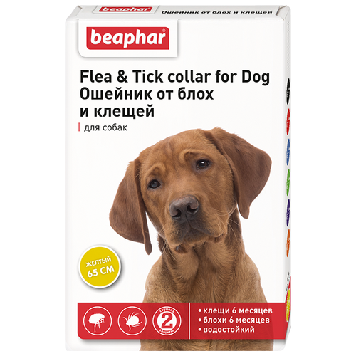  Beaphar Flea & Tick.    , 65  1 .   -     , -  