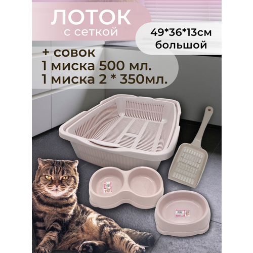 ���� ����� ����� � ������, � ������� � ������, ����� ��� �����, ������ ��� ����� ������� ��������-�������, ������ ������