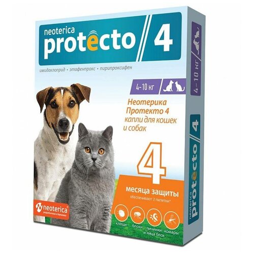   NEOTERICA     Protecto    , 4-10 , , 2    -     , -,   