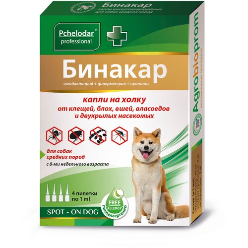 ���� �������� ������� �� ���� � ������ ������� ��� �����, ������, �����, ��� �������� �������� �� 10 �� 40 �� 4 ��. � ��., 1 ��., ������ ������