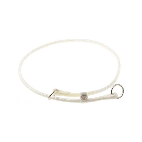 ���� �������� ���� ������� ZooOne (co ��������) � 2-� �������� ������� 6 ��, ����� �������� 55 ��, ������ ��� 55 ��, 1 ��., �����, ������ ������