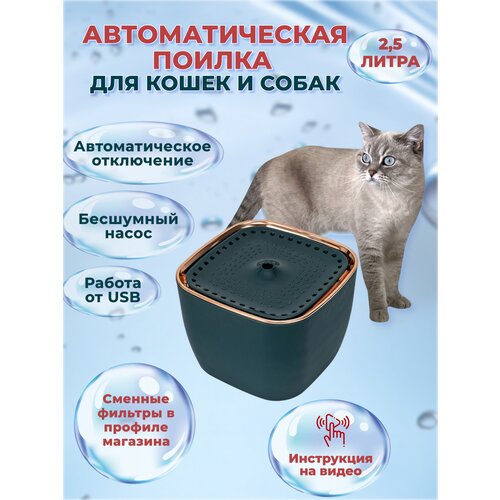 ���� ���������� ��� ����� � ����� 2,5�, ������ ������