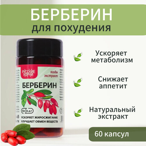 ���� �������� (�������� ���� ���������), ��� ���������, 60 ������ �� 400 �� - ������� �����, ������ ������