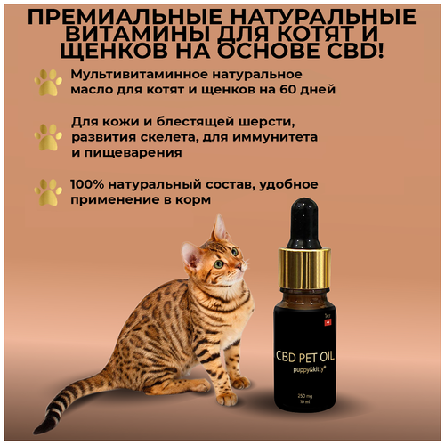      iPet CBD PET OIL Puppy kitty     -     , -,   