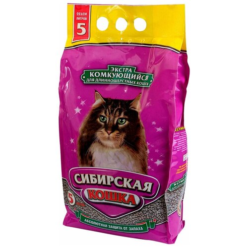 ���� ����������� ����������� ��������� ����� ������ �����������, 5�, 1 ��., ������ ������