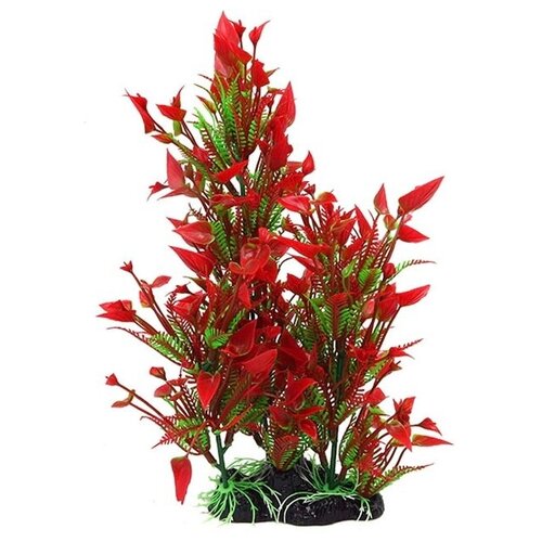 ���� ��������, ��� ���������� � ����������� 35 ��, ������ ������