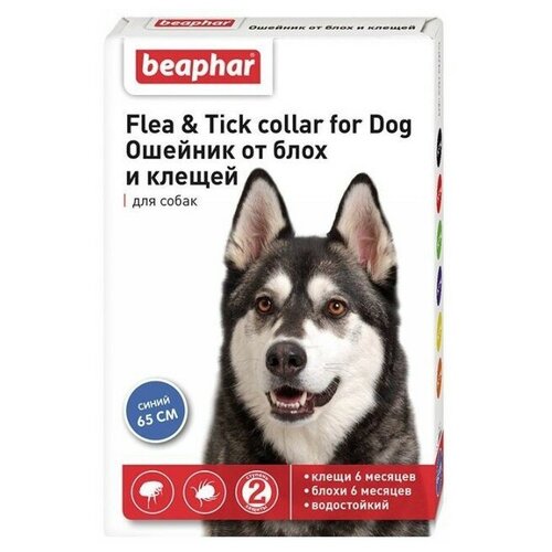  Beaphar      Flea & Tick.    , 65 ,  1 .,  