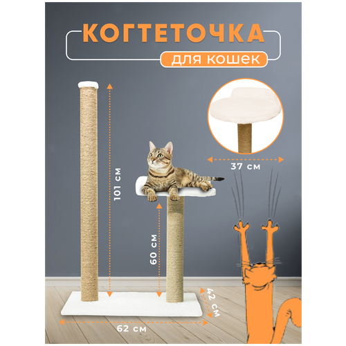 ���� ���������� ������� � ��������. ���������� ������� �������. ���������� �������. ���������� �������/������� �� �����, ������ ������