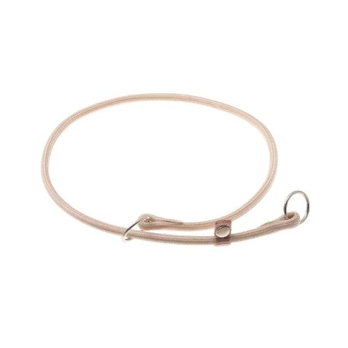 ���� �������� ���� ������� ZooOne (co ��������) � 2-� �������� ������� 6 ��, ����� �������� 55 ��, ������ ��� 55 ��, 1 ��., �������� �����, ������ ������