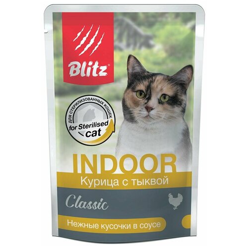  Blitz Cat Classic Indoor       ,   , , / 85   -     , -,   