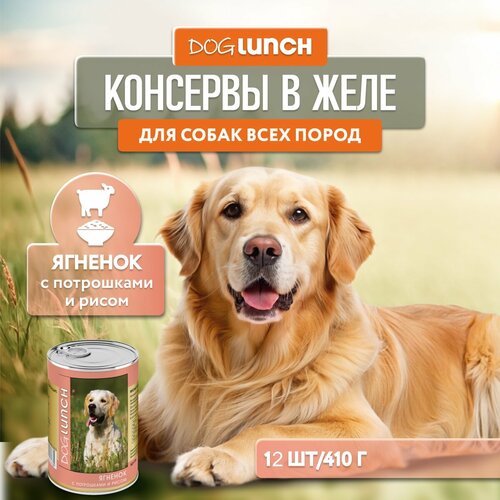    DOG LUNCH          (12 x 410)   -     , -  