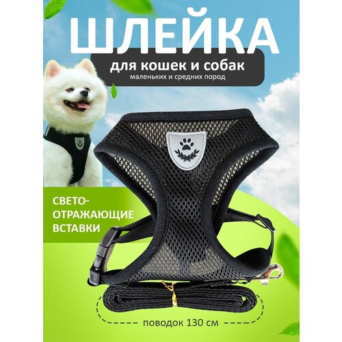 ���� ������ ��� ����� � ����� � �������� 130 �� �� ���������������� ����������, ������ ������