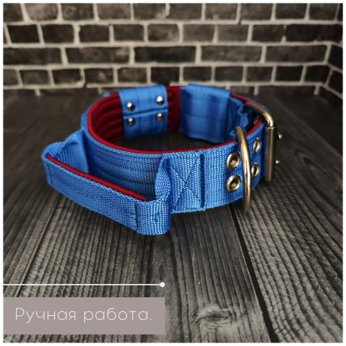     DOGTON  .   5.5 .  .  .  .  35-47   -     , -  