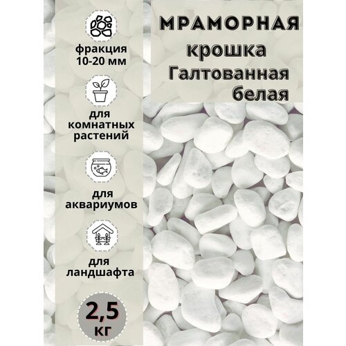 ���� ��������� ������ ����� ����������� 10-20�� ������� (2,5 ��) ����� ��� ���������, ������ ������