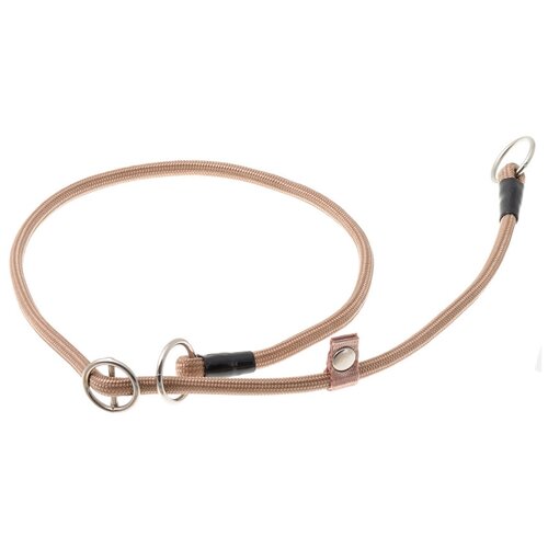 ���� �������� ���� ������� ZooOne (co ��������) � 2-� �������� ������� 6 ��, ����� �������� 60 ��, ������ ��� 60 ��, 1 ��., �����, ������ ������