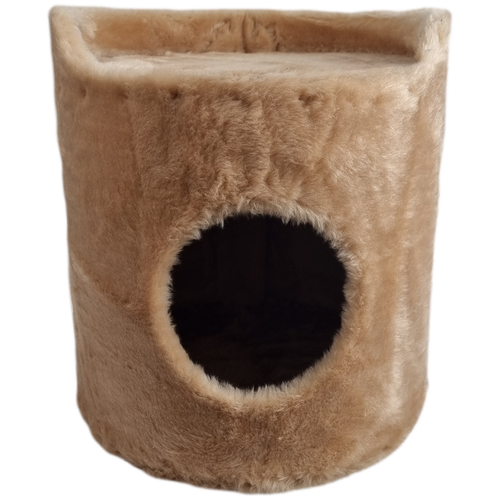 ���� ����� 