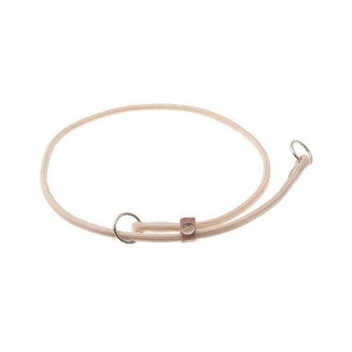 ���� �������� ���� ������� ZooOne (co ��������) � 2-� �������� ������� 6 ��, ����� �������� 65 ��, ������ ��� 65 ��, 1 ��., �������� �����, ������ ������