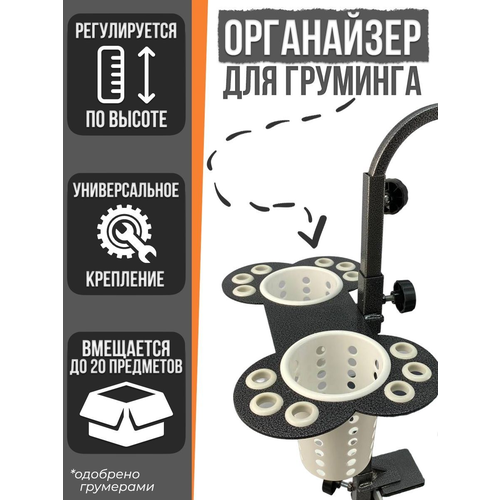 ���� ���������� ��� ����� ��� ��������, ��������� ��� ��������, ������ ������