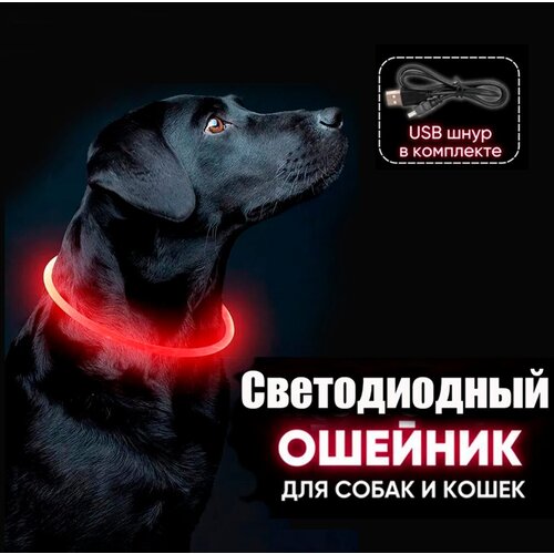 ���� ������� ������������ ��� ����� ����������, ��� ������, usb �������, ������ ������