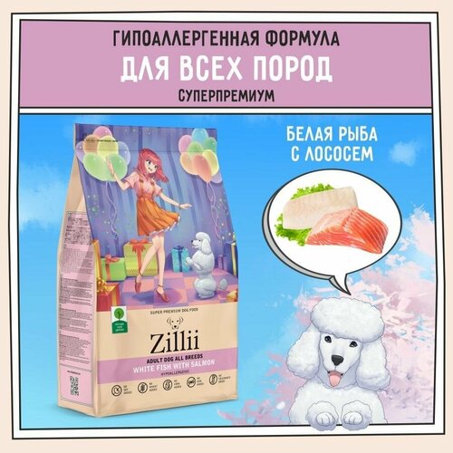      800 ,  ZILLII (),       -     , -  