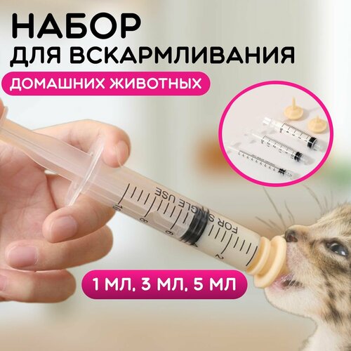 ���� ����� ��� ������������� ������������� �����. ����� ��� ��������� ��������., ������ ������