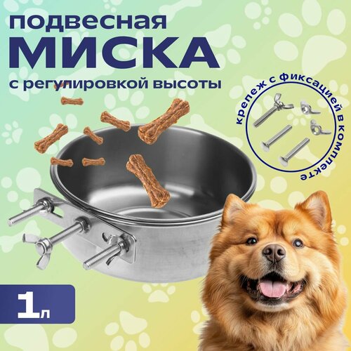 ���� ����� ��������� 1 � � ������ ��� ����� � ������ ��������, ������ ������