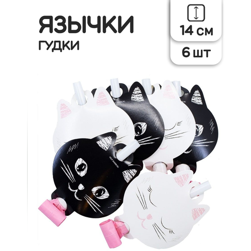 ���� ������-����� ��������� Riota ������, ����� 6 ��, ������ ������